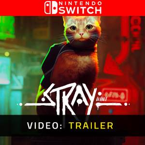 Stray Nintendo Switch Video-opname