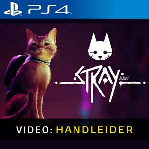 Stray PS4 Video-opname