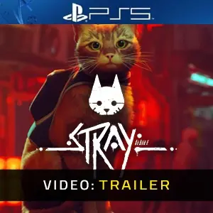 Stray PS5 Video-opname