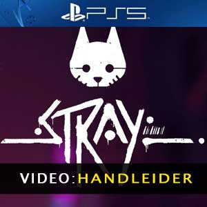 Stray PS5 Video-opname