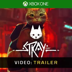 Stray Xbox One Video-opname