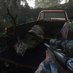 Doden dierbaar om te overleven