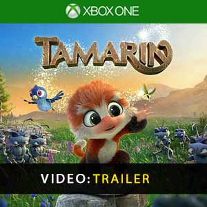 Koop Tamarin Xbox One Goedkoop Vergelijk de Prijzen