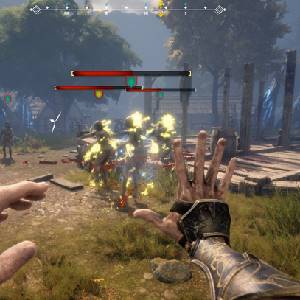 Testament The Order of High Human - Vuur