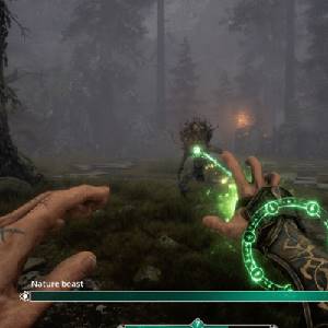 Testament The Order of High Human - Natuurwezen