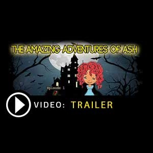 The Amazing Adventures of Ash Afterparty Pc