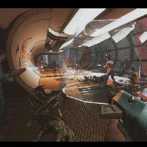 The Anacrusis Schildgranaat