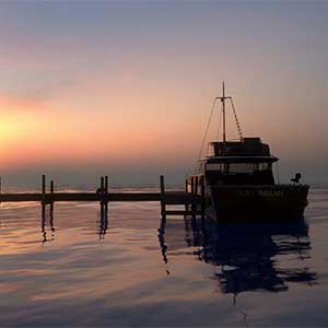 The Dark Pictures Anthology Triple Pack - Man Van Medan