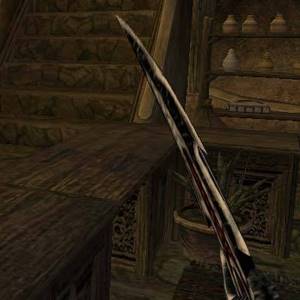 The Elder Scrolls 3 Morrowind - Koopman
