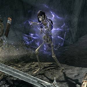 The Elder Scrolls 5 Skyrim Anniversary Upgrade Skelet