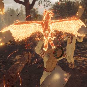 The End of the Sun - Vogel