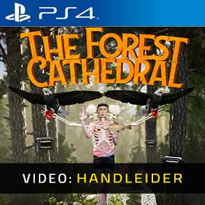 The Forest Cathedral - Video Trailer