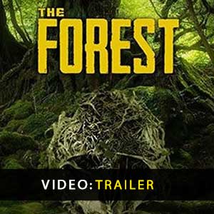 Koop The Forest CD Key Compare Prices
