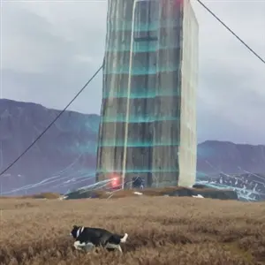 The Free Shepherd - Structuur