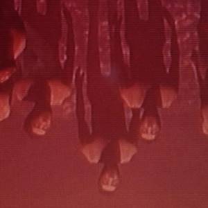 The Fridge is Red - kwade wezens