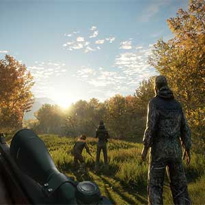 critters and insects of the wilderness