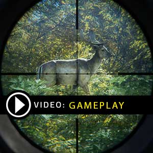 The Hunter Call of the Wild 2019 Gameplay Video