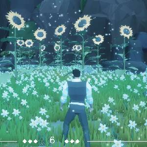 The Last Light - Zonnebloem