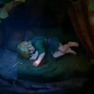 The Legend of Zelda: Ocarina of Time - Slapend