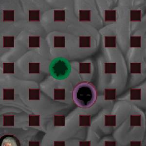 the Line - Geest Gebied