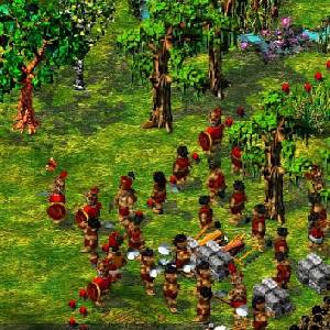 The Settlers 4 - Troepen