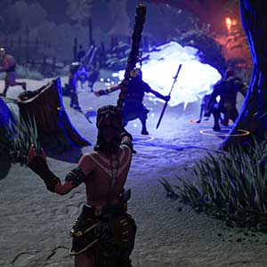 The Waylanders Tovenaar