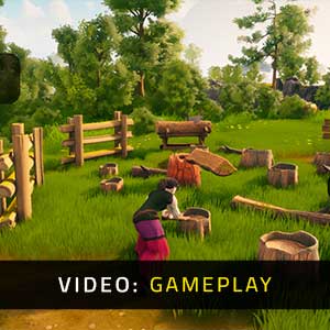 The Witch of Fern Island - Video Spelervaring