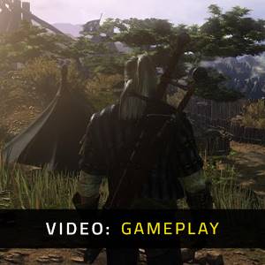 The Witcher 2 - Video spelletjes
