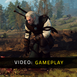 The Witcher 3 Wild Hunt - Gameplay Video