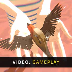 The Wreck - Video Spelervaring