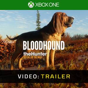 theHunter Call of the Wild Bloodhound Video Trailer