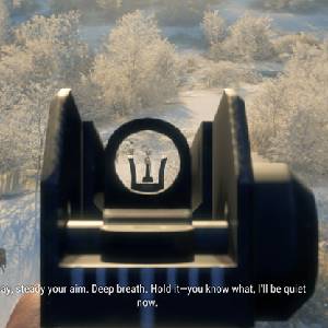 theHunter Call of the Wild Modern Rifle Pack - Hert