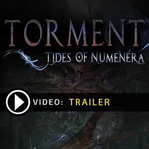 Koop Torment Tides of Numenera CD Key Compare Prices