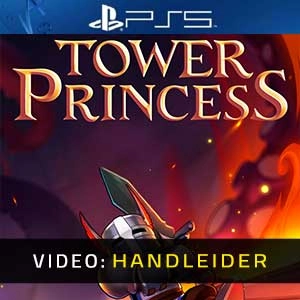 Tower Princess Playstation 5