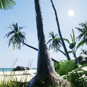 TRIGGER - Eiland