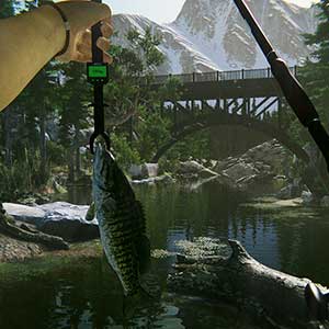 Ultimate Fishing Simulator 2 - Zeevis