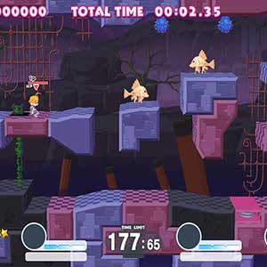 gebonden aan de bestemming