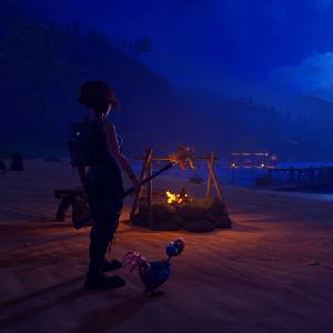 Under a Rock - Nacht