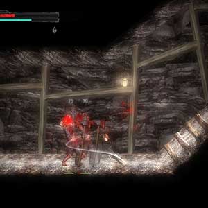 geestelijke gezondheid en waanzin