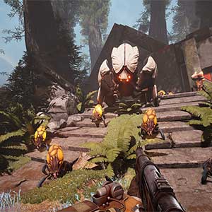 Voidtrain - De Zwerm