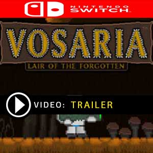 Koop Vosaria Lair of the Forgotten Nintendo Switch Goedkope Prijsvergelijke