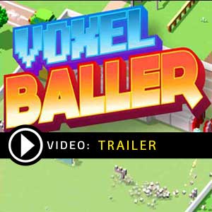 Koop Voxel Baller CD Key Goedkoop Vergelijk de Prijzen