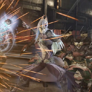 Musou Rush Battle system