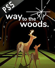 Way to the Woods Playstation 5