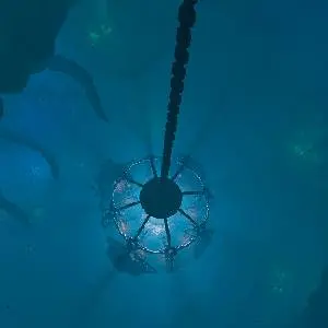 We Were Here Series Bundle - Duikkamer