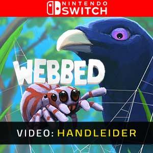 Webbed Nintendo Switch Video-opname