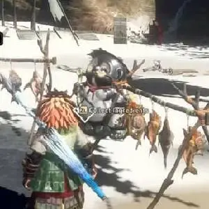 WILD HEARTS S - Ingrediënten Verzamelen