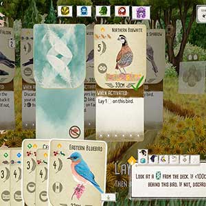 Wingspan - Noordelijke Bobwhite