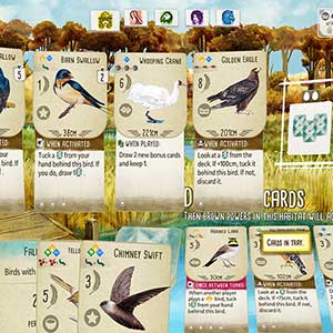 Wingspan - Vogelreservaat