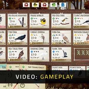Wingspan Gameplay Video